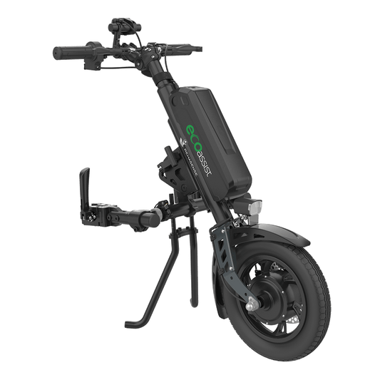 Eco Assist 12"