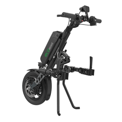 Eco Assist 12"