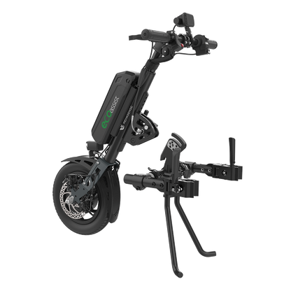 Eco Assist 12"