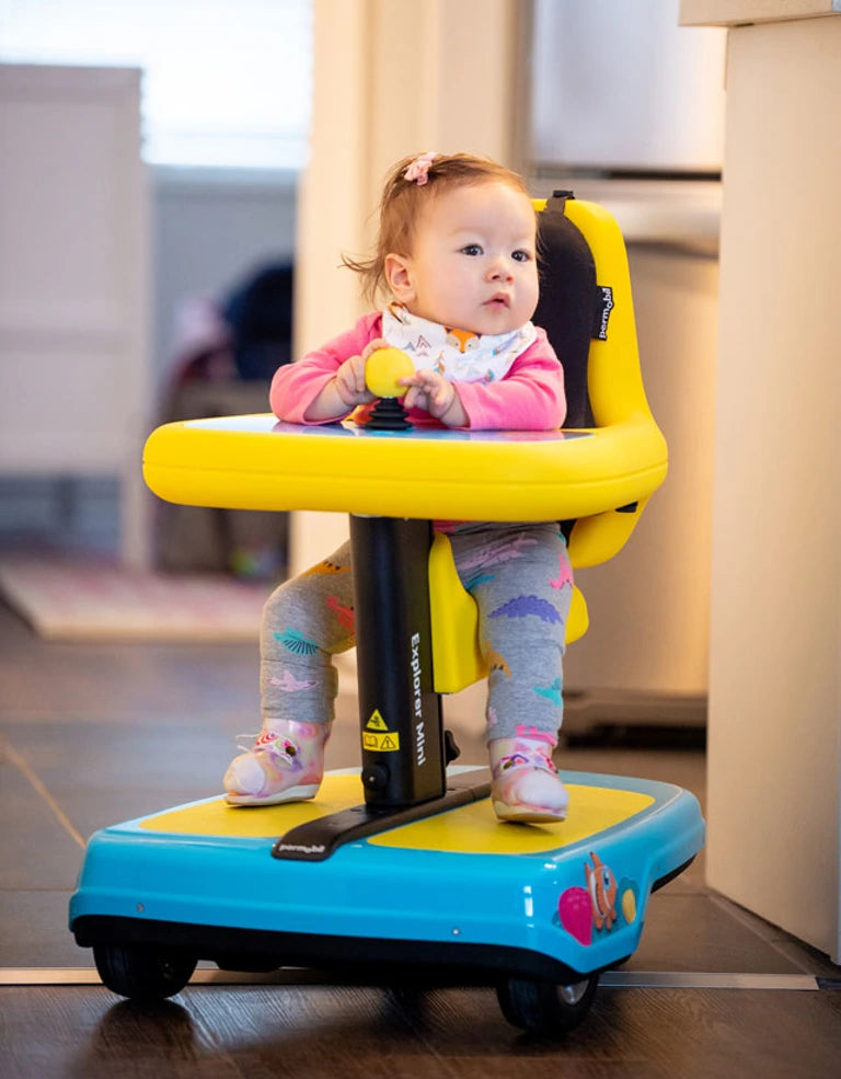 MINI EXPLORER